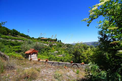 Moradia Isolada T5 Venda em Lamego (Almacave e Sé),Lamego