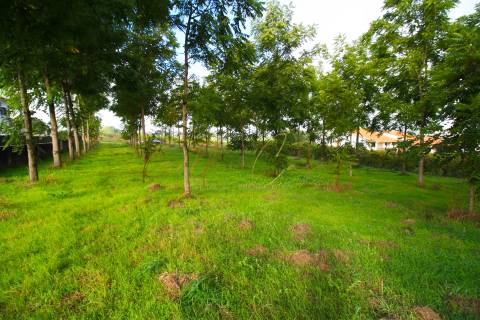 Terreno Para Construção  Venda em Oliveira do Bairro,Oliveira do Bairro
