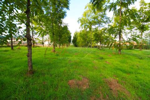 Terreno Para Construção  Venda em Oliveira do Bairro,Oliveira do Bairro