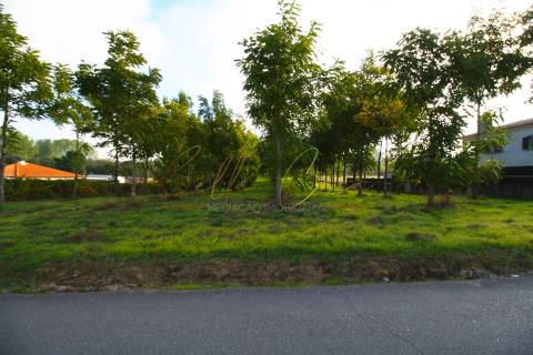 Terreno Para Construção  Venda em Oliveira do Bairro,Oliveira do Bairro