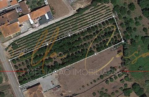 Terreno Para Construção  Venda em Oliveira do Bairro,Oliveira do Bairro