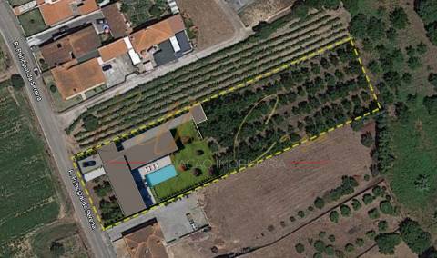 Terreno Para Construção  Venda em Oliveira do Bairro,Oliveira do Bairro