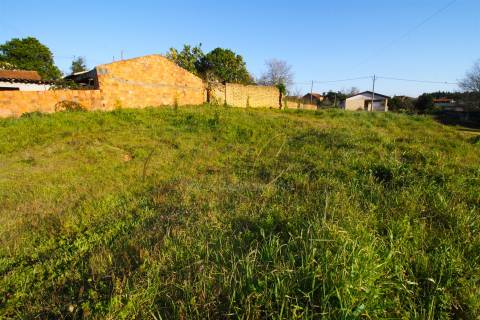 Terreno Para Construção  Venda em Oliveira do Bairro,Oliveira do Bairro