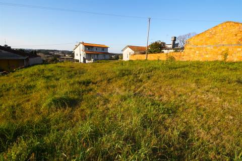 Terreno Para Construção  Venda em Oliveira do Bairro,Oliveira do Bairro