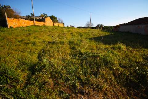 Terreno Para Construção  Venda em Oliveira do Bairro,Oliveira do Bairro