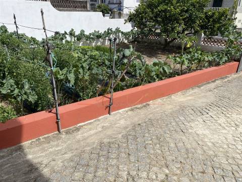 Moradia Isolada T3 Venda em São João de Loure e Frossos,Albergaria-a-Velha