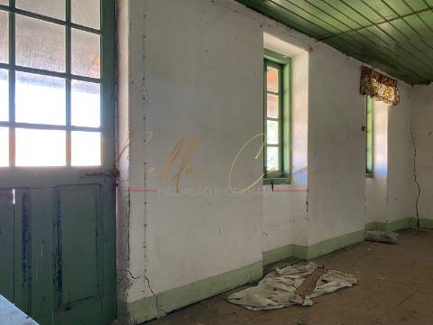 Moradia para Restaurar T2 Venda em Cacia,Aveiro