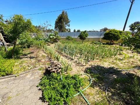 Moradia Isolada T4 Venda em Santo André de Vagos,Vagos