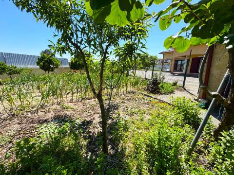 Moradia Isolada T4 Venda em Santo André de Vagos,Vagos