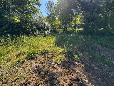 Terreno Rústico  Venda em Oliveira do Bairro,Oliveira do Bairro