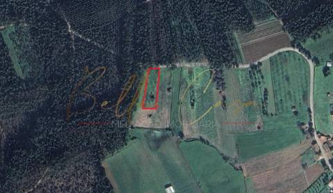 Terreno Rústico  Venda em Tamengos, Aguim e Óis do Bairro,Anadia