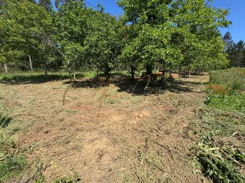 Terreno Rústico  Venda em Tamengos, Aguim e Óis do Bairro,Anadia