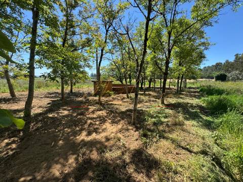 Terreno Rústico  Venda em Tamengos, Aguim e Óis do Bairro,Anadia