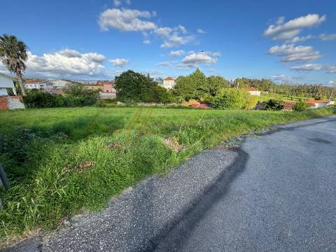 Terreno Misto  Venda em Beduído e Veiros,Estarreja