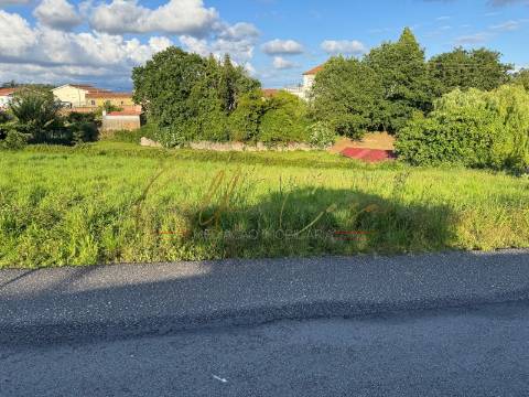 Terreno Misto  Venda em Beduído e Veiros,Estarreja