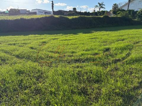 Terreno Misto  Venda em Beduído e Veiros,Estarreja
