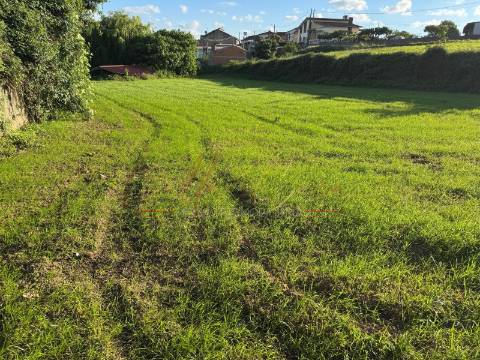 Terreno Misto  Venda em Beduído e Veiros,Estarreja