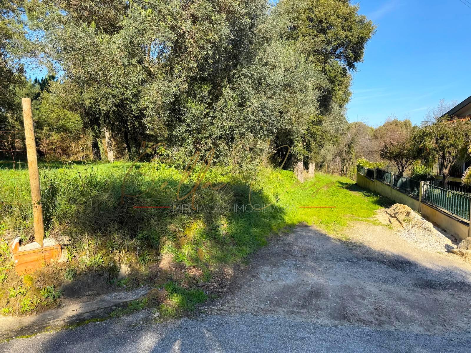 Terreno Para Construção  Venda em Oliveira do Bairro,Oliveira do Bairro