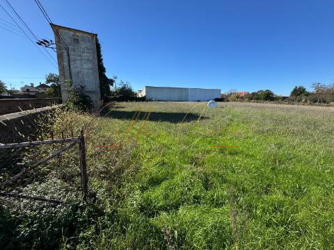 Terreno Para Construção  Venda em Salreu,Estarreja