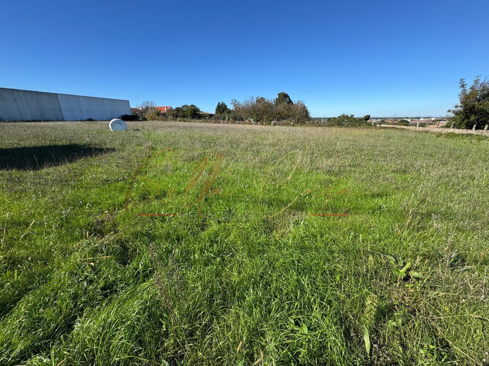 Terreno Para Construção  Venda em Salreu,Estarreja