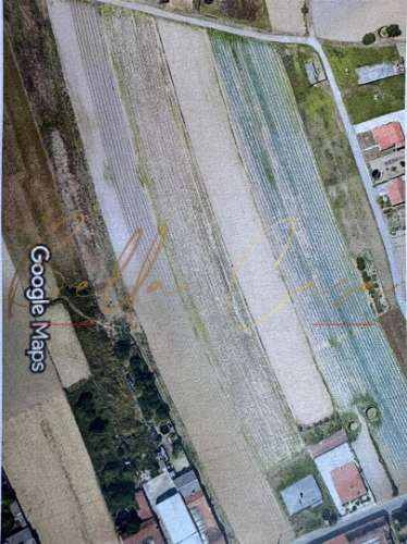 Moradia T4 Venda em Requeixo, Nossa Senhora de Fátima e Nariz,Aveiro