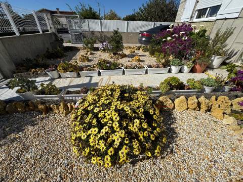 Moradia T3 Venda em Febres,Cantanhede