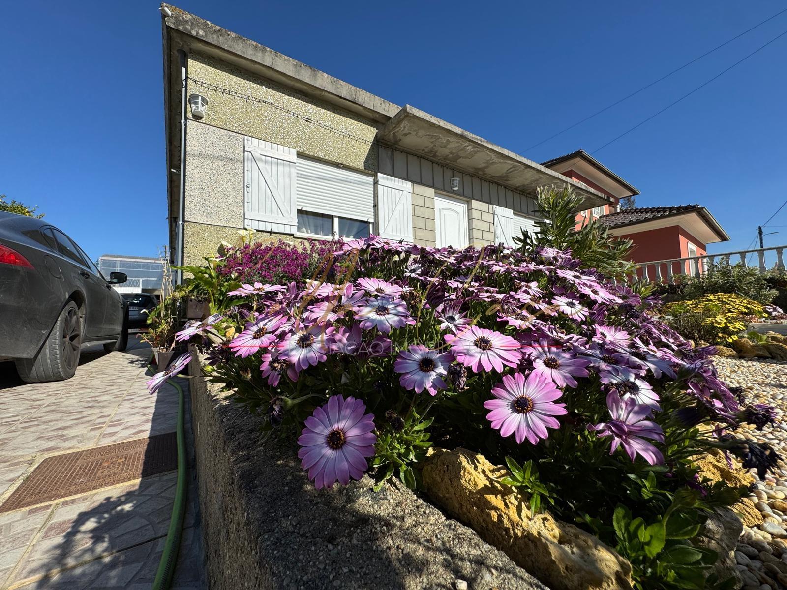 Moradia T3 Venda em Febres,Cantanhede