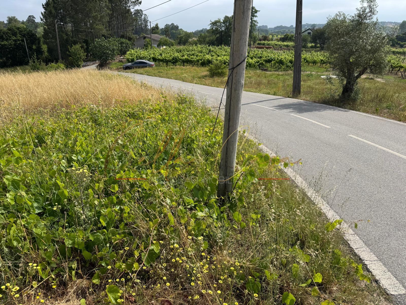 Terreno Para Construção  Venda em Amoreira da Gândara, Paredes do Bairro e Ancas,Anadia