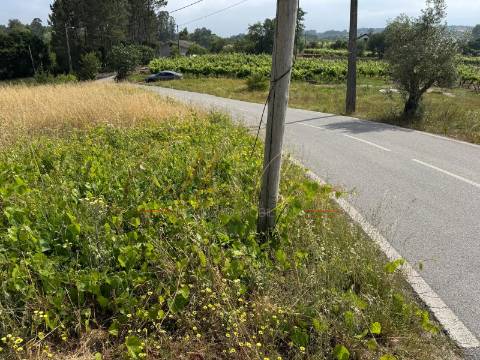 Terreno Para Construção  Venda em Amoreira da Gândara, Paredes do Bairro e Ancas,Anadia