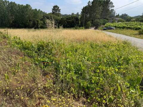 Terreno Para Construção  Venda em Amoreira da Gândara, Paredes do Bairro e Ancas,Anadia