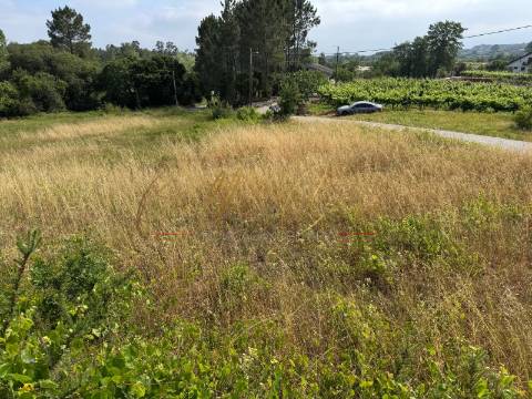 Terreno Para Construção  Venda em Amoreira da Gândara, Paredes do Bairro e Ancas,Anadia
