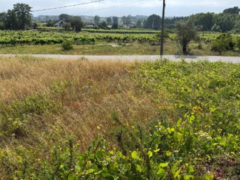 Terreno Para Construção  Venda em Amoreira da Gândara, Paredes do Bairro e Ancas,Anadia