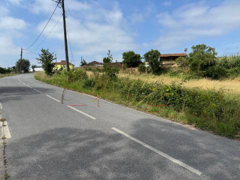 Terreno Para Construção  Venda em Amoreira da Gândara, Paredes do Bairro e Ancas,Anadia