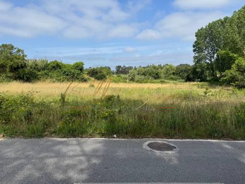 Terreno Para Construção  Venda em Amoreira da Gândara, Paredes do Bairro e Ancas,Anadia