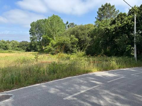 Terreno Para Construção  Venda em Amoreira da Gândara, Paredes do Bairro e Ancas,Anadia