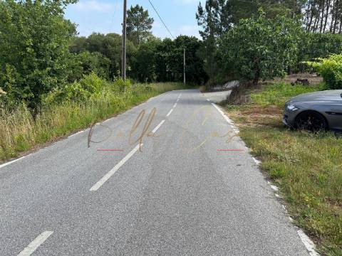 Terreno Para Construção  Venda em Amoreira da Gândara, Paredes do Bairro e Ancas,Anadia