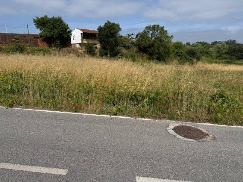 Terreno Para Construção  Venda em Amoreira da Gândara, Paredes do Bairro e Ancas,Anadia