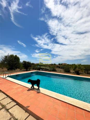 Quinta na Guia com 39.013 m2 a 10 minutos das praias da costa de Albufeira