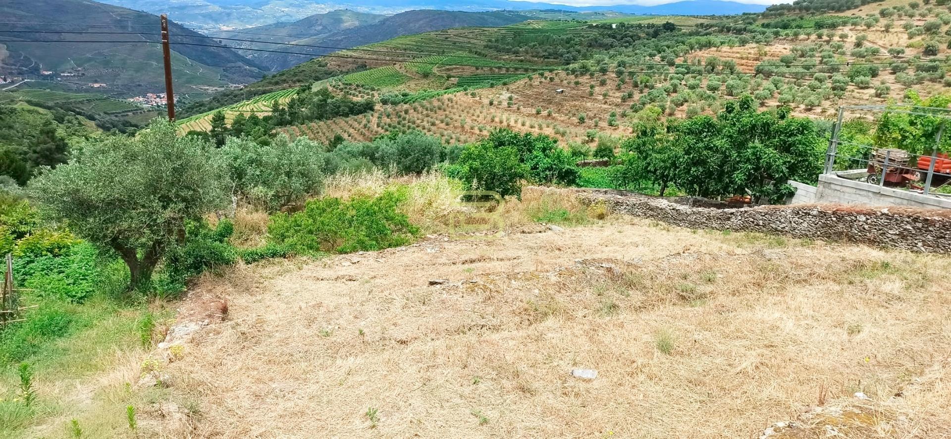 Terreno urbano com duas frentes, com uma área total de 1960 m² localizado em Vila Seca, Armamar