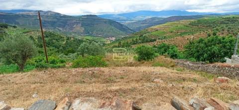 Terreno urbano com duas frentes, com uma área total de 1960 m² localizado em Vila Seca, Armamar