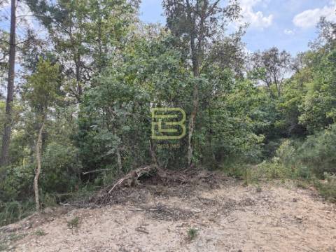 TERRENO MISTO com 28 588m2 com VISTA permanente para o RIO em Paços de Gaiolo, Marco de Canaveses