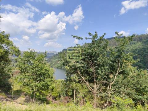 TERRENO MISTO com 28 588m2 com VISTA permanente para o RIO em Paços de Gaiolo, Marco de Canaveses