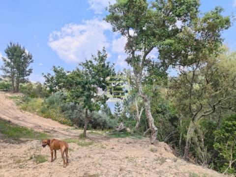 TERRENO MISTO com 28 588m2 com VISTA permanente para o RIO em Paços de Gaiolo, Marco de Canaveses