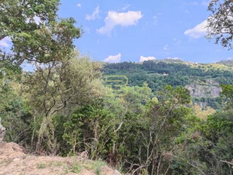 TERRENO MISTO com 28 588m2 com VISTA permanente para o RIO em Paços de Gaiolo, Marco de Canaveses