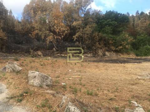 DOIS TERRENOS urbanos contíguos, em Cete , Paredes