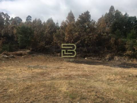 DOIS TERRENOS urbanos contíguos, em Cete , Paredes