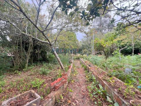 Terreno Para Construção  Venda em Fajozes,Vila do Conde