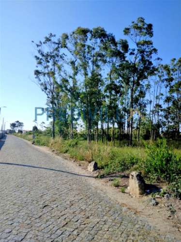 Terreno Para Construção  Venda em Azurara,Vila do Conde
