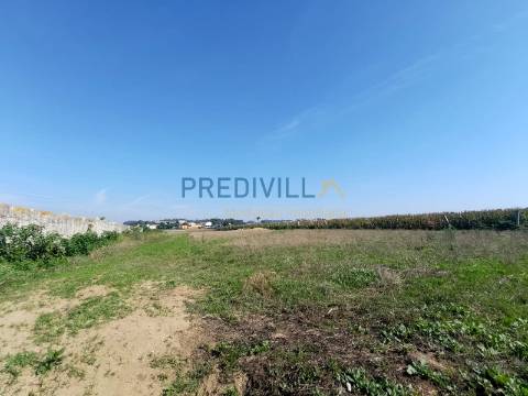 Terreno Para Construção  Venda em Gião,Vila do Conde
