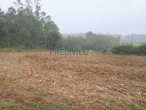 Terreno Misto  Venda em Vilar e Mosteiró,Vila do Conde